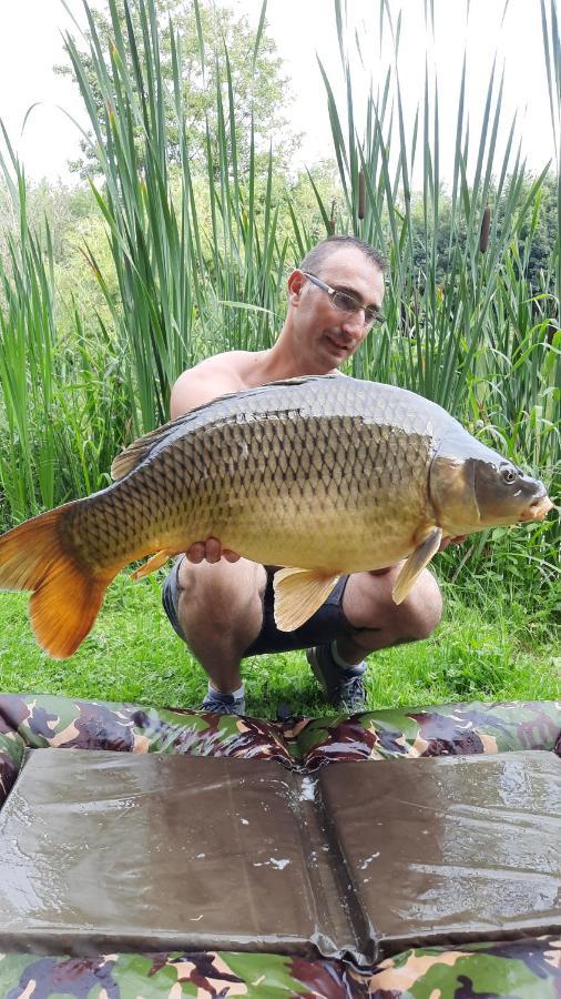 Les Etangs Du Moulin D'Harcy Hotel Lonny Kültér fotó