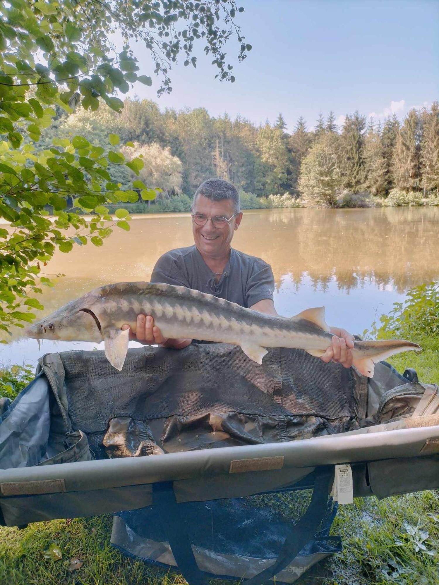Les Etangs Du Moulin D'Harcy Hotel Lonny Kültér fotó